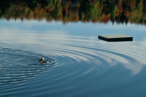 Chalets Lac � La Truite