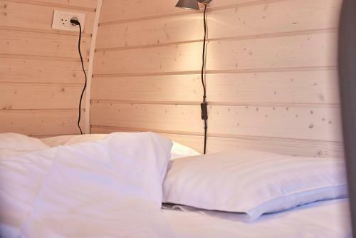 Hotel Danhostel Skjern
