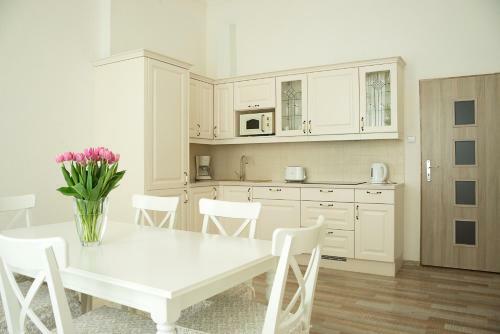 Apartment Aesculap