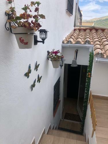 Casa Rural Leo&manu
