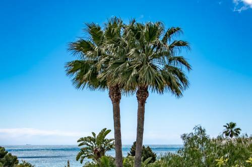 Villas Guzman - Palmera