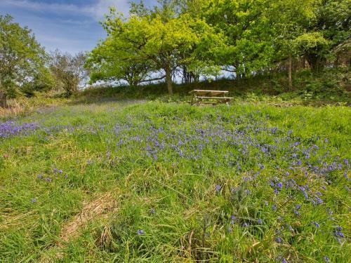 Pass The Keys Wonderful 3-bed Home With Breathtaking Views