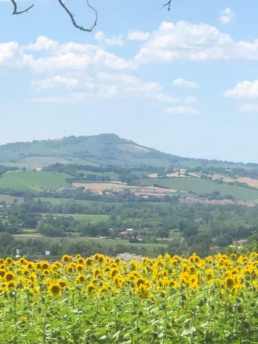 Casale Del Monte, Pesaro
