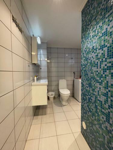 Apartamento Mosj�en Overnatting, Halsmovegen 12