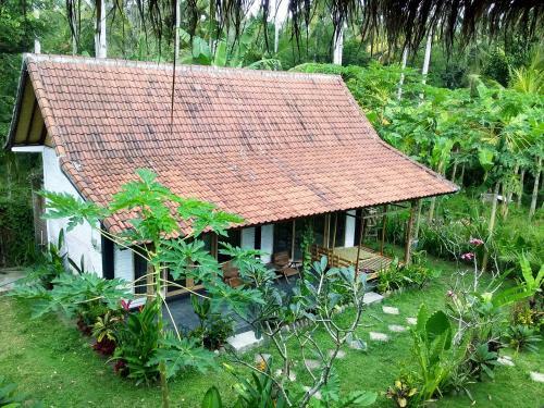 Albergue Jungle House - Surf & Stay