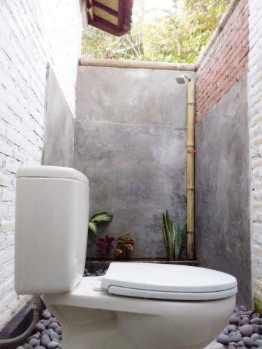 Albergue Jungle House - Surf & Stay