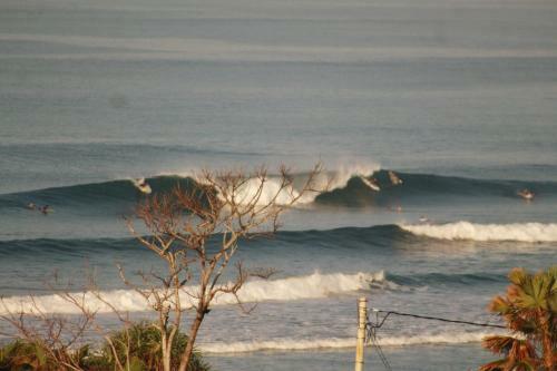 Albergue Jungle House - Surf & Stay