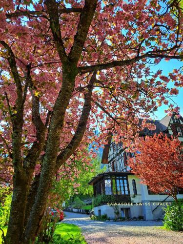 Apartamento Sawasdee Swiss Chalet Wilderswil