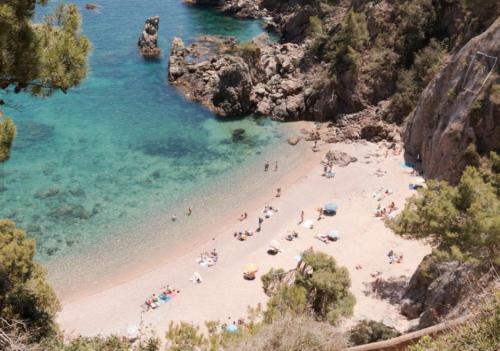 Apartament Les Alzines