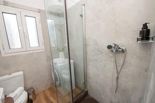 Theodosia Apartment