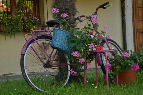 B&B Al Mare Di Greis