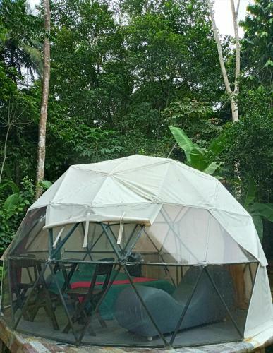 Glamping Sapzurro