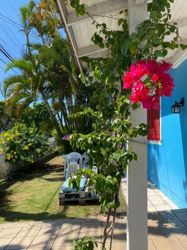 Bed & Breakfast Pequi Hostel