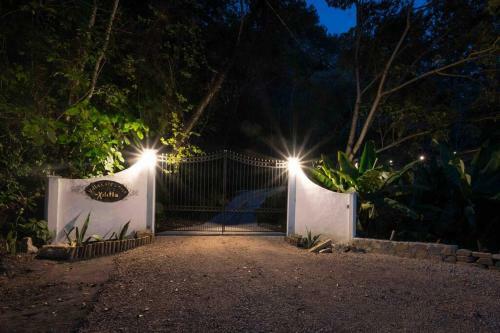 Villa Caf� Y Arte - Xilitla Rainforest Experience