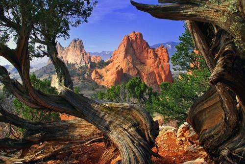 Apartamento Stunning Westside Gem - Old Colorado City - Occ