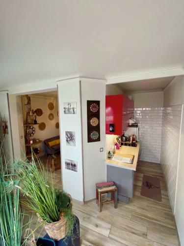 Apartamento T2 Centre de Biarritz,30m de La Plage Du Miramar