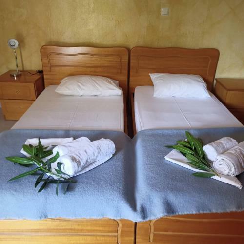 Hostal Magda Studios