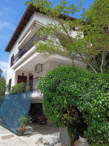 Hostal Magda Studios