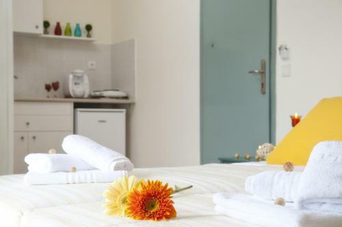 Apartamento Selena View Studios