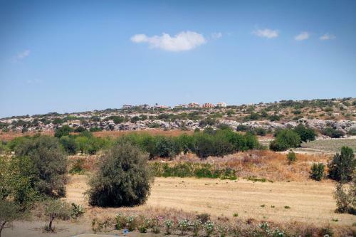 B&B Agramonte