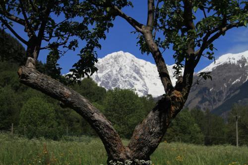 Apartamento Le Petit Coeur Residence de Montagne