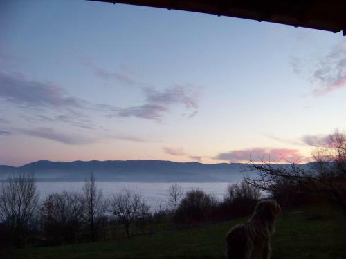Bed & Breakfast Croix Blanche