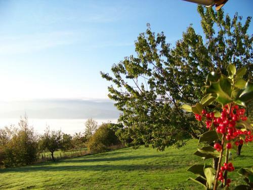 Bed & Breakfast Croix Blanche