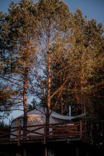 Jurta W Koronach Drzew Z Jacuzzi-dzikolas Glamping