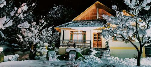 Mountain View Wooden Villa