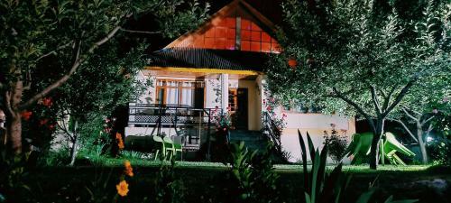 Mountain View Wooden Villa
