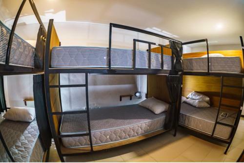 Hostal Nitro House