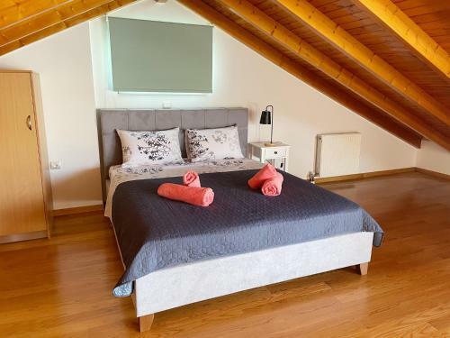 Panos Comfy Apartment