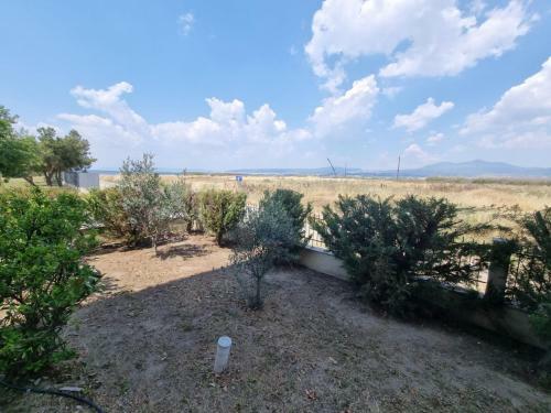 Apartamento Olives By The Sea
