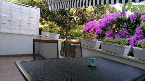 Apartmani Garden