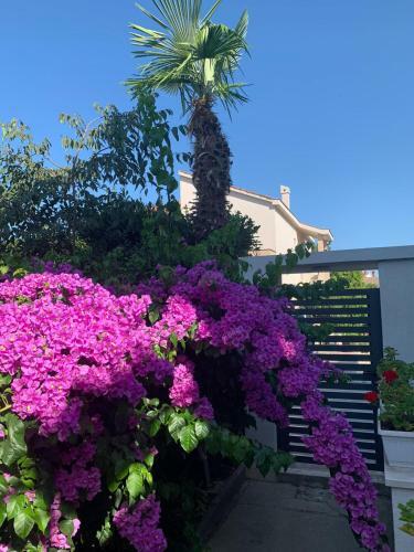 Apartmani Garden