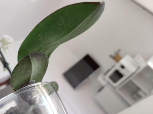 Apartamento Casa Vacanze U Curtigghiu