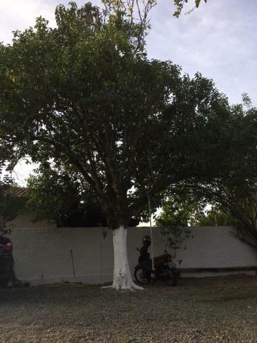 Hostal Pousada P� No Parque