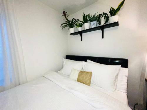 Apartamento Entire House Central Located