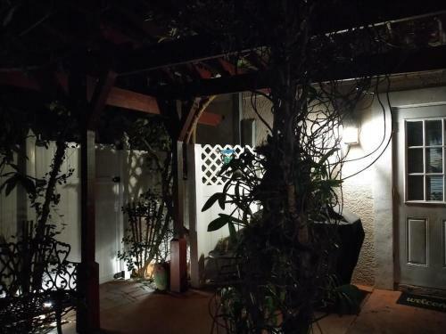 Tampa Bay Beautiful Apartment And Private Jacuzzi