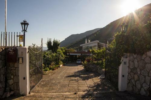 Villa Ida Bed & Breakfast