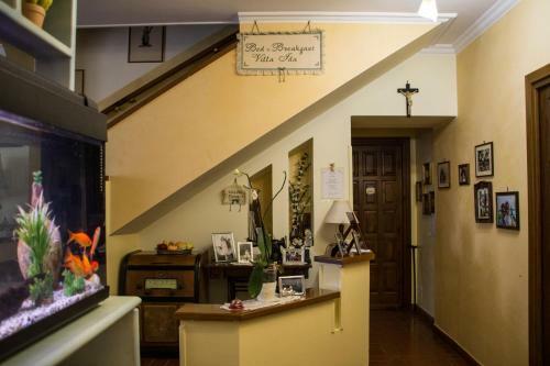Villa Ida Bed & Breakfast