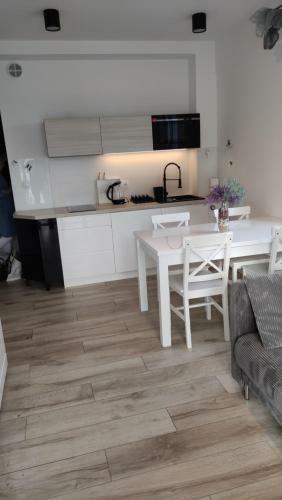 Apartament T?cza II