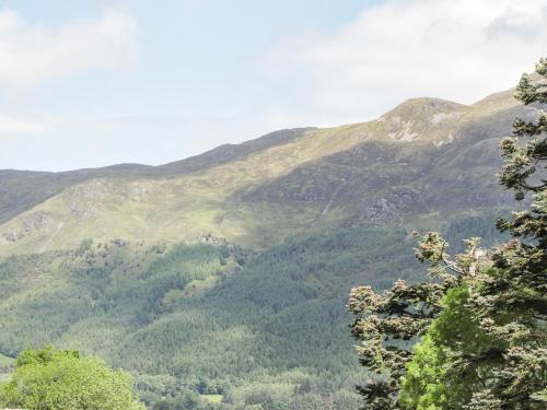 Silver Birch Lodge