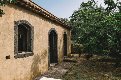 Apartamento Weincottage Unterm Feigenbaum