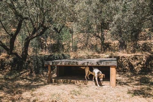 Apartamento Weincottage Unterm Feigenbaum