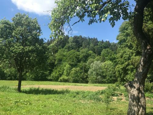 Stephova Vola Camper Park