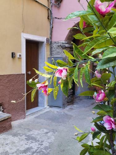 Hostal L' Onda Di Manarola