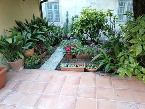 Apartamento La Corticella