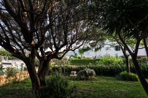Bed & Breakfast Torre Ancinale