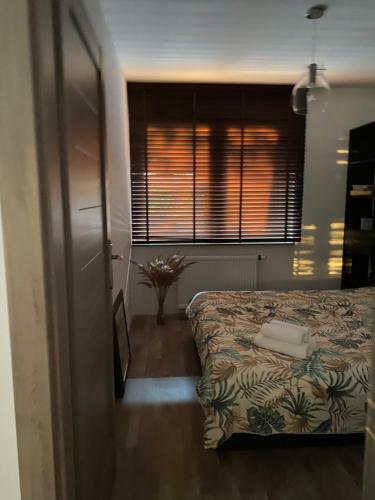 Dyrekcyjna Apartment